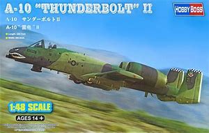 HobbyBoss A-10 Thunderbolt II 1:48 80323 Plastic Model Airplane Kit ...